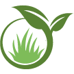 Anacortes Lawn Clean Up