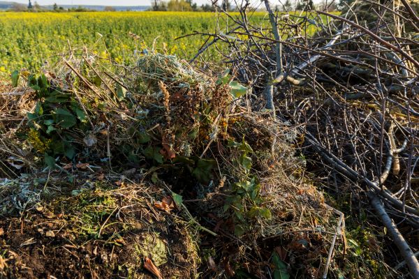Brush Disposal Service