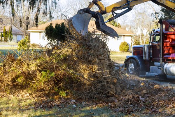 Storm Debris Removal Service