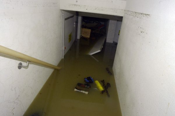 Storm Cleanup