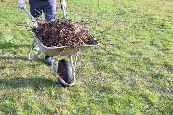 Yard Brush Removal in Anacortes