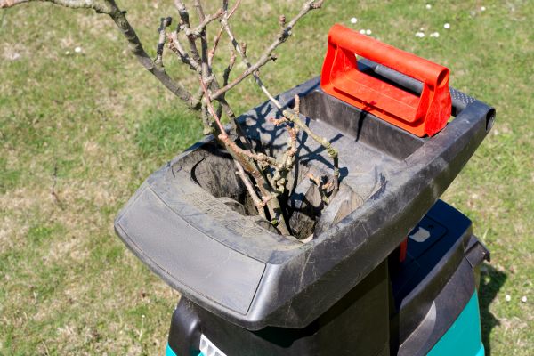 Brush Cleanup Service in Anacortes
